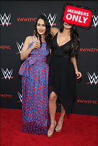 Brie Bella nikki Bella WWE FYC Event in Los Angeles 6th June 2018
2419x3600 2.4 mb
Viewed 1 time
@BestEyeCandy.com