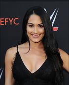 Brie Bella nikki Bella WWE FYC Event in Los Angeles 6th June 2018
2756x3360 961 kb
Viewed 6 times
@BestEyeCandy.com