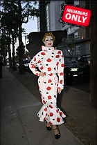 Celebrity Photo: Julia Fox
2333x3500 2.7 mb
Viewed 1 time
@BestEyeCandy.com
