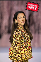 Celebrity Photo: Dua Lipa
5504x8256 6.5 mb
Viewed 0 times
@BestEyeCandy.com