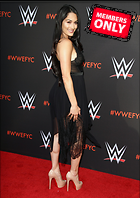 Brie Bella nikki Bella WWE FYC Event in Los Angeles 6th June 2018
2471x3500 2.7 mb
Viewed 1 time
@BestEyeCandy.com