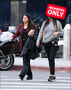 Celebrity Photo: Jenna Dewan-Tatum
1875x2382 2.2 mb
Viewed 0 times
@BestEyeCandy.com