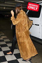 Celebrity Photo: Hailey Baldwin
1633x2449 1.8 mb
Viewed 0 times
@BestEyeCandy.com