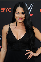 Brie Bella nikki Bella WWE FYC Event in Los Angeles 6th June 2018
2100x3150 452 kb
Viewed 6 times
@BestEyeCandy.com