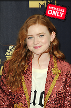 Celebrity Photo: Sadie Sink
2657x4000 3.9 mb
Viewed 0 times
@BestEyeCandy.com
