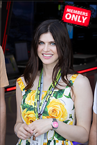 Celebrity Photo: Alexandra Daddario
2667x4000 2.3 mb
Viewed 0 times
@BestEyeCandy.com