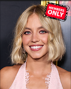 Celebrity Photo: Sydney Sweeney
5064x6330 5.4 mb
Viewed 1 time
@BestEyeCandy.com