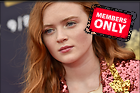 Celebrity Photo: Sadie Sink
4668x3107 2.0 mb
Viewed 0 times
@BestEyeCandy.com