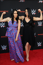 Brie Bella nikki Bella WWE FYC Event in Los Angeles 6th June 2018
2100x3150 675 kb
Viewed 7 times
@BestEyeCandy.com