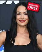 Brie Bella nikki Bella WWE 20th Anniversary Celebration Staples Center Los Angeles 04.10.2019 x86
2310x2841 2.0 mb
Viewed 1 time
@BestEyeCandy.com