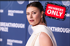 Celebrity Photo: Maria Sharapova
3500x2333 1.6 mb
Viewed 1 time
@BestEyeCandy.com