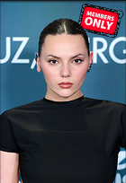 Celebrity Photo: Dafne Keen
1912x2783 3.0 mb
Viewed 0 times
@BestEyeCandy.com