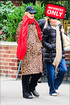 Celebrity Photo: Jennifer Lawrence
2237x3355 4.1 mb
Viewed 0 times
@BestEyeCandy.com