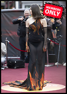 Celebrity Photo: Hailee Steinfeld
3417x4732 2.3 mb
Viewed 0 times
@BestEyeCandy.com