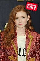 Celebrity Photo: Sadie Sink
2657x4000 3.9 mb
Viewed 0 times
@BestEyeCandy.com