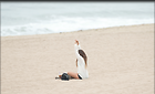 Celebrity Photo: Vanessa Hudgens
3100x1885 662 kb
Viewed 3 times
@BestEyeCandy.com