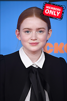 Celebrity Photo: Sadie Sink
3236x4854   1.7 mb
Viewed 1 time
@BestEyeCandy.com