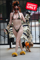 Celebrity Photo: Phoebe Price
2334x3500   3.2 mb
Viewed 0 times
@BestEyeCandy.com