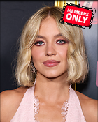 Celebrity Photo: Sydney Sweeney
5030x6288 5.5 mb
Viewed 1 time
@BestEyeCandy.com