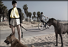 Celebrity Photo: Rooney Mara
2000x1381 479 kb
Viewed 8 times
@BestEyeCandy.com
