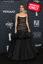 Celebrity Photo: Rose Byrne
3333x5000 6.6 mb
Viewed 0 times
@BestEyeCandy.com