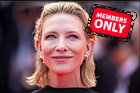 Celebrity Photo: Cate Blanchett
8192x5464 2.9 mb
Viewed 0 times
@BestEyeCandy.com