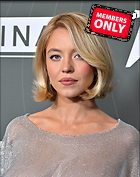 Celebrity Photo: Sydney Sweeney
3318x4200 2.6 mb
Viewed 1 time
@BestEyeCandy.com