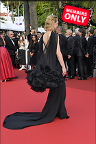 Celebrity Photo: Cate Blanchett
3279x4919 1.9 mb
Viewed 0 times
@BestEyeCandy.com