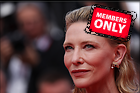 Celebrity Photo: Cate Blanchett
8192x5464 2.8 mb
Viewed 0 times
@BestEyeCandy.com