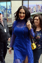 Brie Bella nikki Bella and her sister are photographed arriving at the NBC Studios in New York City 16.05.2018 x22
1200x1800 255 kb
Viewed 5 times
@BestEyeCandy.com