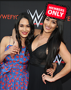 Brie Bella nikki Bella WWE FYC Event in Los Angeles 6th June 2018
2843x3600 2.6 mb
Viewed 1 time
@BestEyeCandy.com