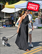 Celebrity Photo: Nina Dobrev
2704x3500 3.7 mb
Viewed 0 times
@BestEyeCandy.com