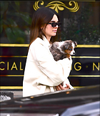 Kendall Jenner candids Out and about in New York 24.02..20.2020
71 Photos
Photoset #476110
@BestEyeCandy.com