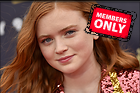 Celebrity Photo: Sadie Sink
4438x2954 2.1 mb
Viewed 0 times
@BestEyeCandy.com