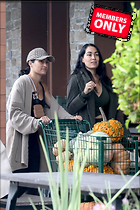 Brie Bella nIKKI and Out Shopping for Pumpkins in Napa Valley 09-20-2024
2164x3246 4.6 mb
Viewed 1 time
@BestEyeCandy.com