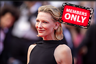 Celebrity Photo: Cate Blanchett
7505x5006 2.6 mb
Viewed 0 times
@BestEyeCandy.com