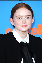 Celebrity Photo: Sadie Sink
2100x3150   322 kb
Viewed 2 times
@BestEyeCandy.com