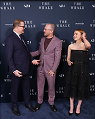 Celebrity Photo: Sadie Sink
1638x2048 1,069 kb
Viewed 6 times
@BestEyeCandy.com