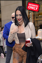 Celebrity Photo: Brie Bella
2342x3500 2.0 mb
Viewed 0 times
@BestEyeCandy.com