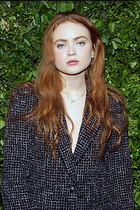 Celebrity Photo: Sadie Sink
1280x1920   549 kb
Viewed 4 times
@BestEyeCandy.com