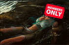Celebrity Photo: Lara Stone
1906x1235 601 kb
Viewed 1 time
@BestEyeCandy.com