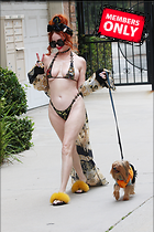 Celebrity Photo: Phoebe Price
2333x3500   2.8 mb
Viewed 0 times
@BestEyeCandy.com