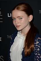 Celebrity Photo: Sadie Sink
2400x3600   1.4 mb
Viewed 7 times
@BestEyeCandy.com