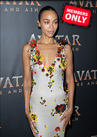 Celebrity Photo: Zoe Saldana
1844x2592 2.6 mb
Viewed 1 time
@BestEyeCandy.com