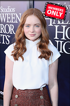 Celebrity Photo: Sadie Sink
3648x5472   3.6 mb
Viewed 1 time
@BestEyeCandy.com