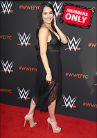 Brie Bella nikki Bella WWE FYC Event in Los Angeles 6th June 2018
2459x3500 3.0 mb
Viewed 1 time
@BestEyeCandy.com