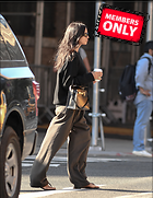 Celebrity Photo: Irina Shayk
1894x2450 1.9 mb
Viewed 0 times
@BestEyeCandy.com