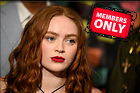 Celebrity Photo: Sadie Sink
6192x4128 1.9 mb
Viewed 1 time
@BestEyeCandy.com