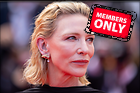 Celebrity Photo: Cate Blanchett
8192x5464 3.1 mb
Viewed 0 times
@BestEyeCandy.com