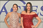 Brie Bella nIKKI and at 47th Annual Gracie Awards Gala in Beverly Hills 05-24-2022
1200x797 142 kb
Viewed 9 times
@BestEyeCandy.com